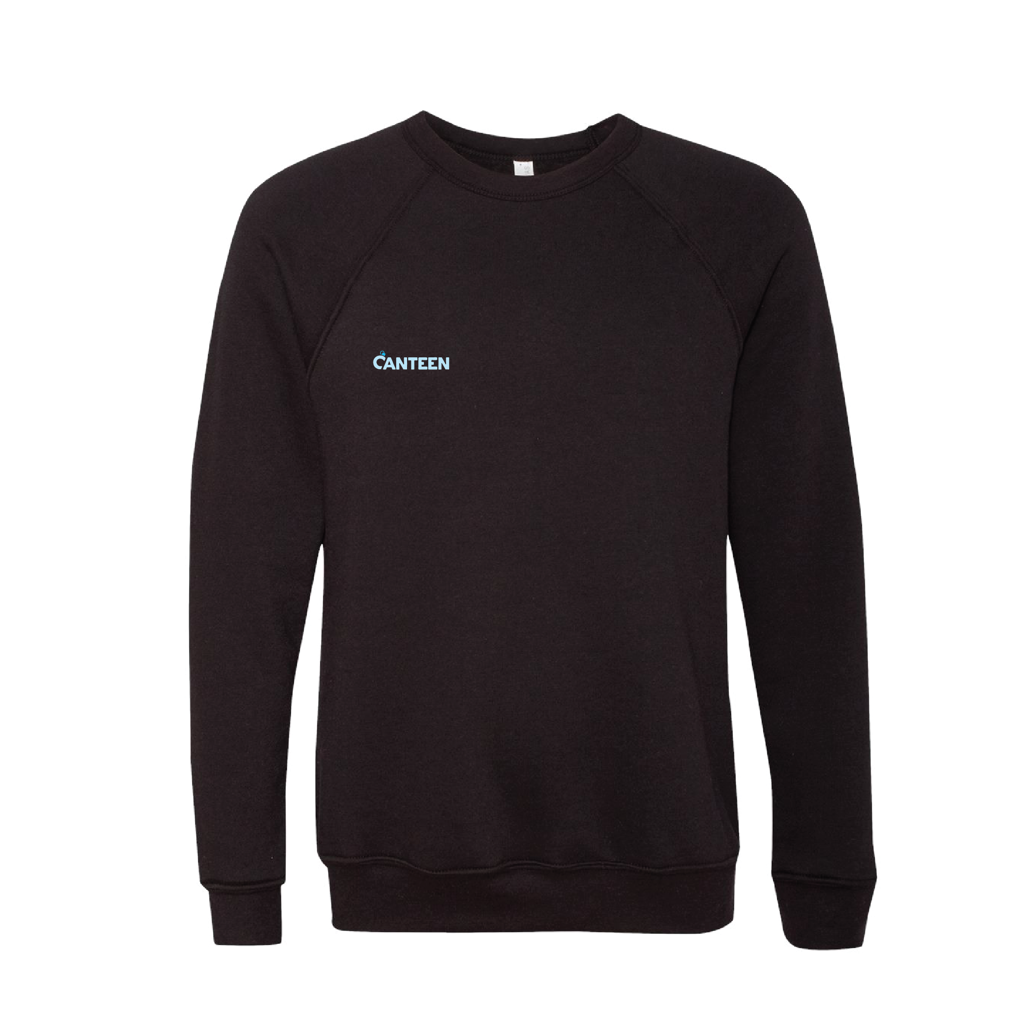 Sponge Fleece Raglan Crewneck Sweatshirt